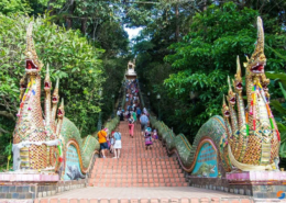 الحصول على تأشيرة تايلاند تشيانغ ماي في تايلند